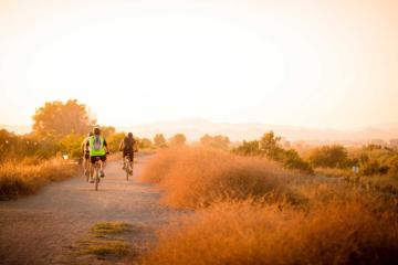 multiple cyclists riding bikes outdoors during sunset
