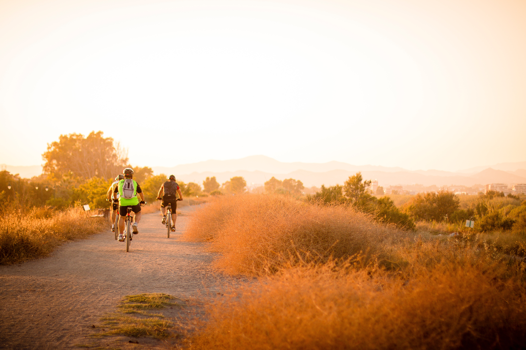 people biking on trail